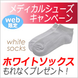 �摜