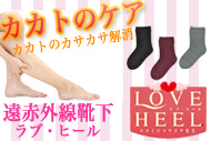 ���ԊO���C�����u�E�q�[��