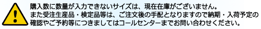 �T�C�Y