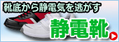 �Ód�C�̂��w���͂�����