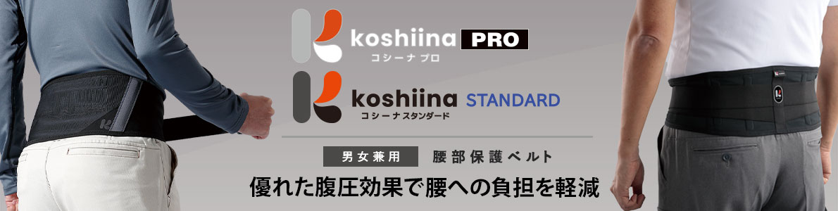 RV[iv RV[iX^_[h@Ɨpیxg