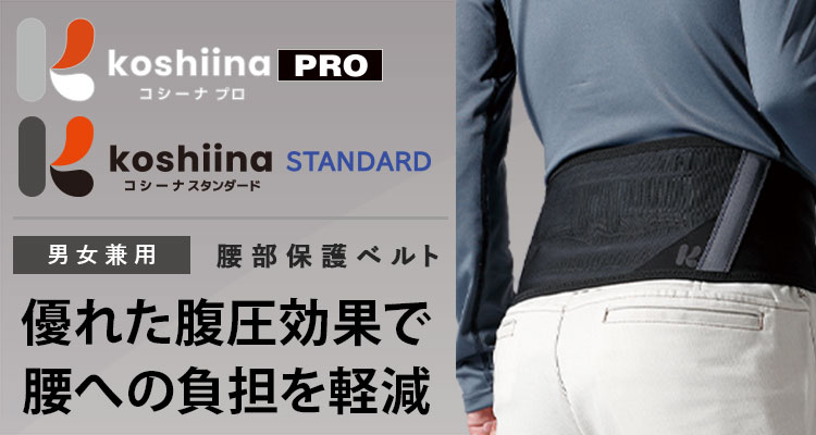 RV[iv@RV[iX^_[h@Ɨpیxg