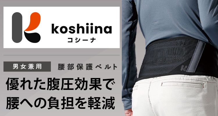 �R�V�[�i�v���@�R�V�[�i�X�^���_�[�h�@��Ɨp�����ی�x���g