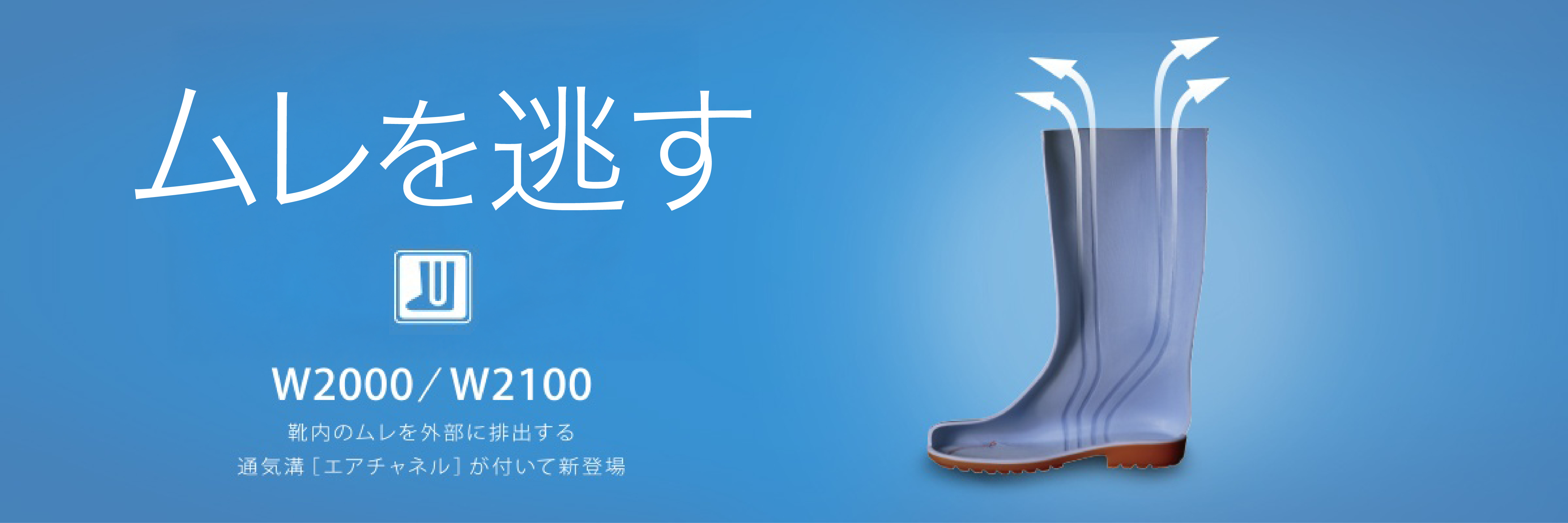 GA`l@j[A@W2000/W2100 C̃OɔroʋCa@GA`l@tĐVo