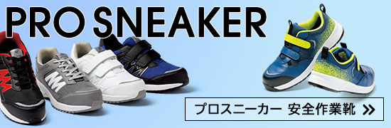 �v���X�j�[�J�[�@���S��ƌC