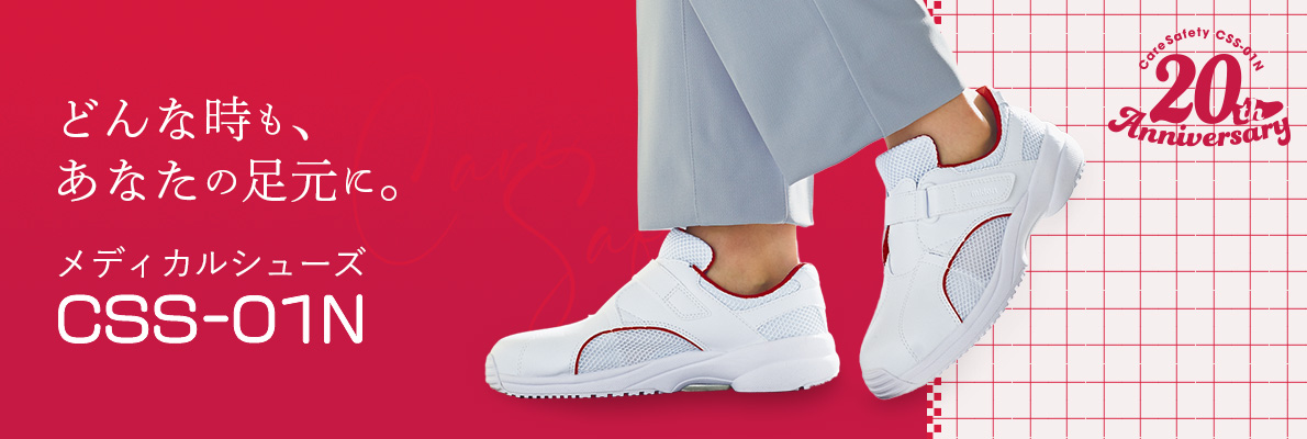 CSS01N 20���N