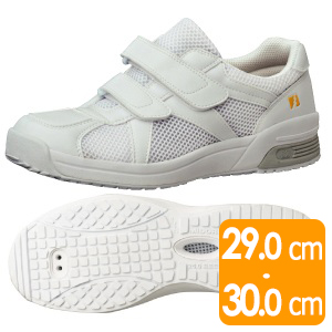 �j�����p�@���f�B�J���G���p�X�@�b�r�r�|�R�O�U�m�@�Ód�@�z���C�g(29�E30cm)