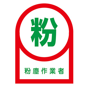 劇場版TOKYOMER 劇中着用ヘルメット　ステッカー無し 劇場版TOKYOMER 劇中着用ヘルメット ステッカー無し 劇場版TOKYOMER 劇