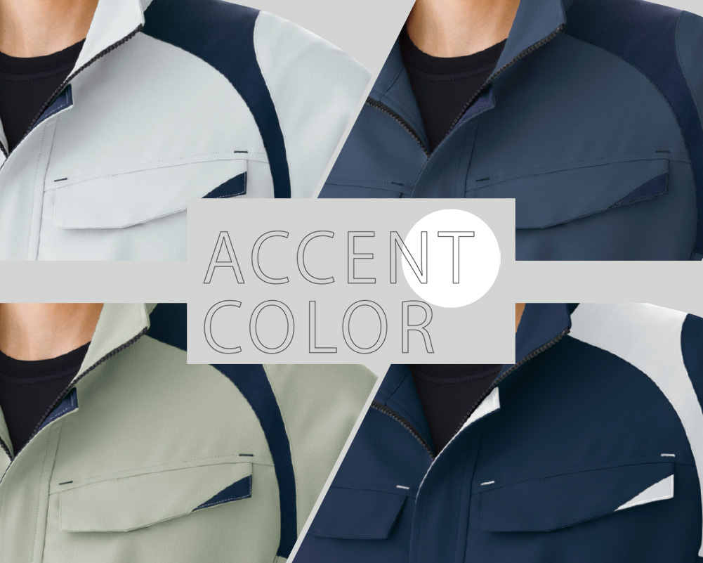 ACCENT COLOR