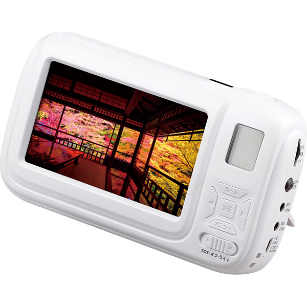 4.3�C���`����TV