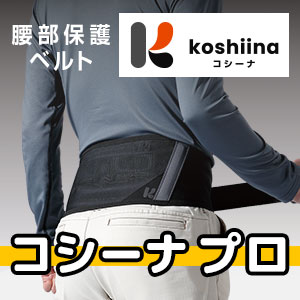 ��Ɨp�����ی�x���g�@�R�V�[�i